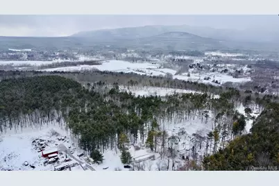 95 Pine Tree Lane, Cairo, NY 12413 - Photo 16