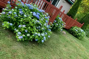 6 Jill Marie Cir, Wallkill, NY 12589 - Photo 46