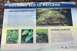 2 Shokan Park Rd, Shokan, NY 12481 - Photo 36