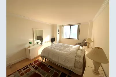 26910 Grand Central Parkway #8Y, Floral Park, NY 11005 - Photo 14