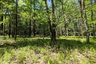 9 Canterbury Ct, White Lake, NY 12720 - Photo 32