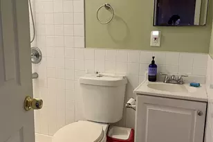 25 Lawrence St, New Hyde Park, NY 11040 - Photo 14