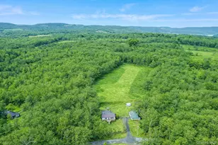 27 Beech Ln, Liberty, NY 12754 - Photo 4