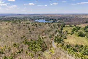 87 Airport Rd, Eldred, NY 12732 - Photo 28