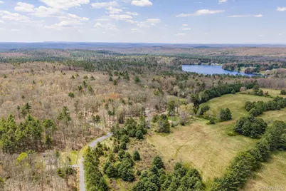 87 Airport Road, Eldred, NY 12732 - Photo 4
