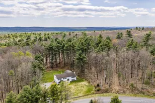 87 Airport Rd, Eldred, NY 12732 - Photo 30