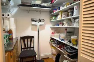 503 Chestnut Ridge Rd, Dover Plains, NY 12522 - Photo 40