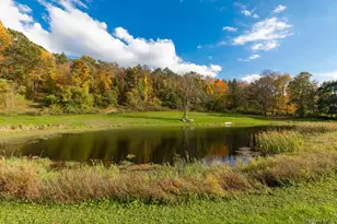 394 Smith Rd, Hyde Park, NY 12538 - Photo 48