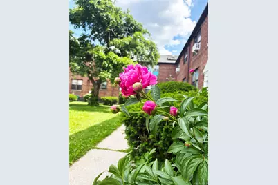 202-06 Rocky Hill Road #6C1, Bayside, NY 11361 - Photo 18