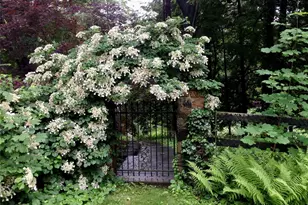 549 Croton Lake Rd, Bedford Corners, NY 10549 - Photo 28