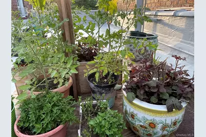 77-02 164 Street, Fresh Meadows, NY 11366 - Photo 28