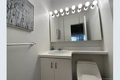 27110 Grand Central Parkway #1E, Floral Park, NY 11005 - Photo 18