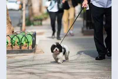 74 Prospect Street #1N, Huntington, NY 11743 - Photo 12