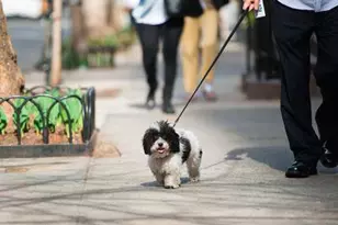 74 Prospect St, Huntington, NY 11743 - Photo 12