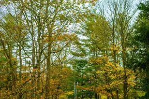 636 Quaker Rd, Chappaqua, NY 10514 - Photo 30