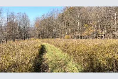 Chaffee Road, Liberty, NY 12754 - Photo 4