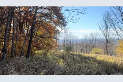 Chaffee Road, Liberty, NY 12754 - Photo 1