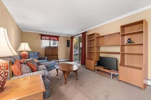 53 Beaumont Dr, Plainview, NY 11803 - Photo 16