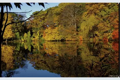 11 Muir Place, New Rochelle, NY 10801 - Photo 28