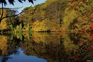 11 Muir Pl, New Rochelle, NY 10801 - Photo 28