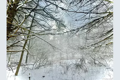 Quail Ridge Road, Margaretville, NY 12455 - Photo 22