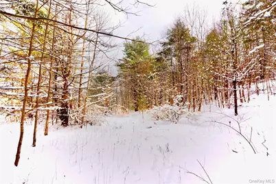 Quail Ridge Road, Margaretville, NY 12455 - Photo 6