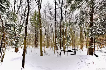 Quail Ridge Road, Margaretville, NY 12455 - Photo 18