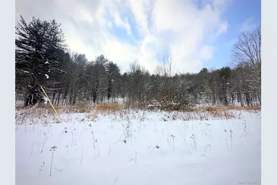 Quail Ridge Road, Margaretville, NY 12455 - Photo 30