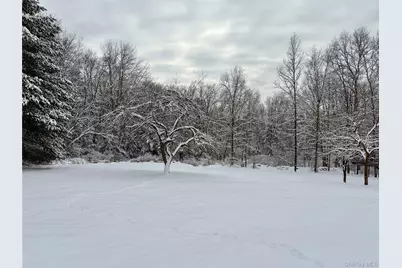 156 Bloom Road, Barryville, NY 12719 - Photo 4