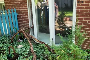 21 Parsnip Pond Rd, Lake Grove, NY 11755 - Photo 30