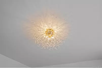 905 E 49th Street, Brooklyn, NY 11203 - Photo 18