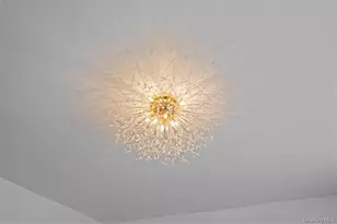 905 E 49th St, Brooklyn, NY 11203 - Photo 18