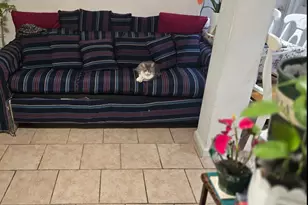 5 Campion St, Brentwood, NY 11717 - Photo 10