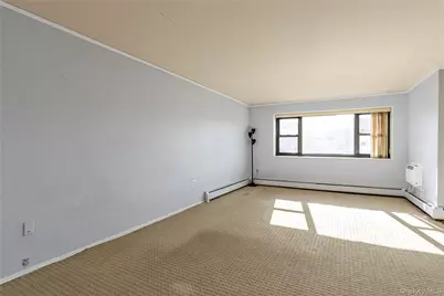 100 Clinton Avenue #4M, Mineola, NY 11501 - Photo 8