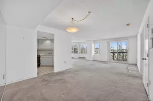 10 Stewart Pl, White Plains, NY 10603 - Photo 16