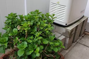 95-11 164th Ave, Howard Beach, NY 11414 - Photo 46