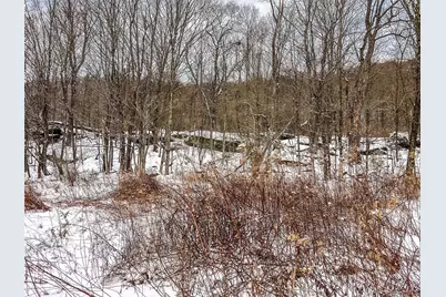 Betty Brook Road, Bloomville, NY 13842 - Photo 26