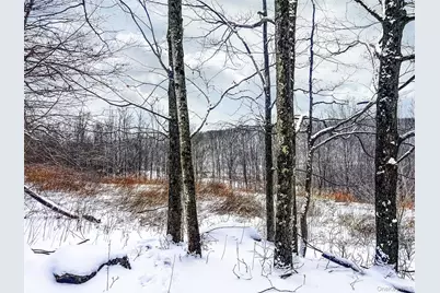 Betty Brook Road, Bloomville, NY 13842 - Photo 12