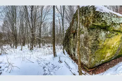 Betty Brook Road, Bloomville, NY 13842 - Photo 18