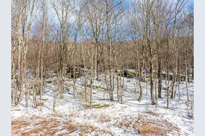 Betty Brook Road, Bloomville, NY 13842 - Photo 6