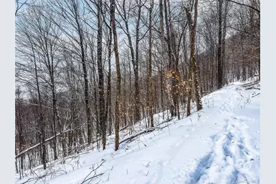 Betty Brook Road, Bloomville, NY 13842 - Photo 20