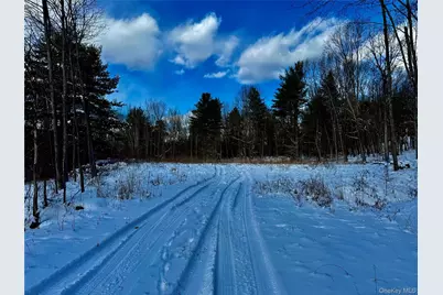 266 Pitts Road, Chatham, NY 12136 - Photo 4