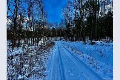 266 Pitts Road, Chatham, NY 12136 - Photo 2