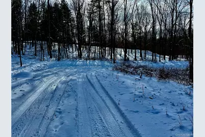 266 Pitts Road, Chatham, NY 12136 - Photo 10