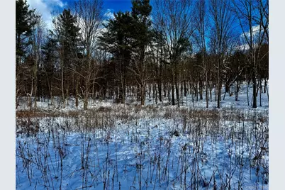 266 Pitts Road, Chatham, NY 12136 - Photo 8