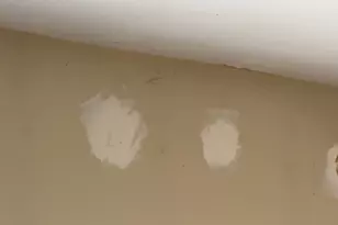 2120 Clinton, Bronx, NY 10457 - Photo 1