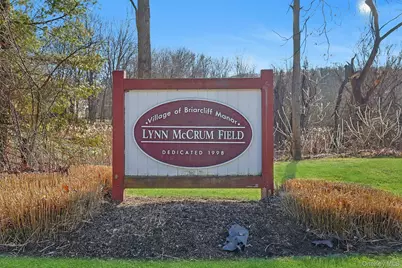 21 Candlewood Court, Briarcliff Manor, NY 10510 - Photo 46