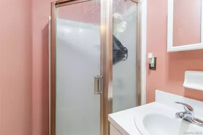 25 South Street, New York, NY 10310 - Photo 22