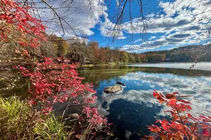 10 Skytop Dr, Katonah, NY 10536 - Photo 12