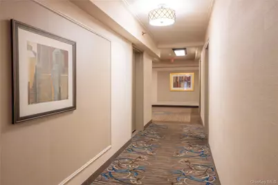 50 Brompton Road #2H, Great Neck, NY 11021 - Photo 20